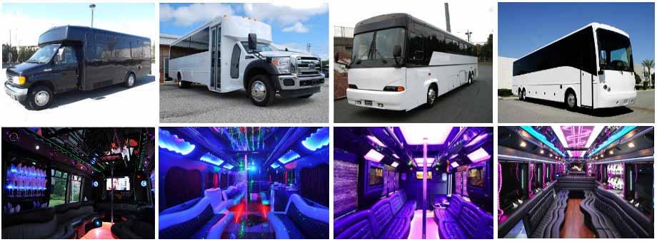 Birthday Parties Party Buses Toledo