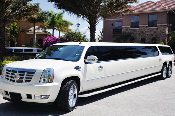 Toledo 20 Passenger Limo